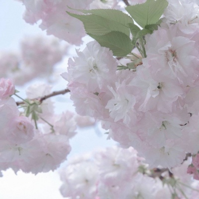 Furry插画氛围营造干货福瑞交流群