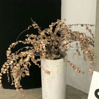 Furry插画元素技巧福瑞交流群